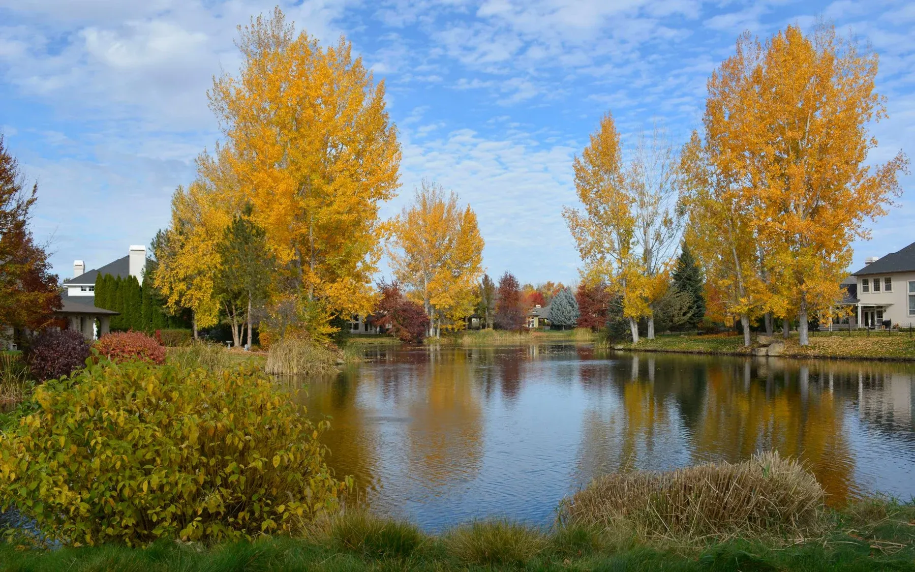 Autumn trees reflected in a pond in Eagle, Idaho